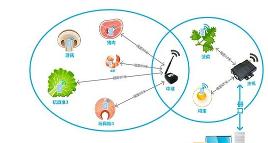 918博天堂·(中国)娱乐官方网站